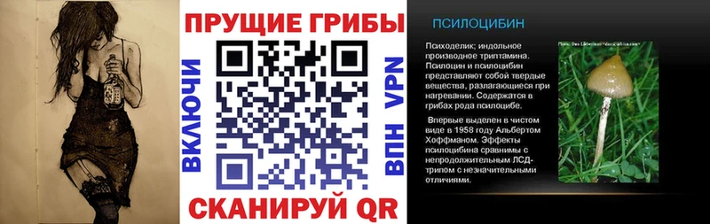 цены наркотик  Абакан  Галлюциногенные грибы Magic Shrooms 