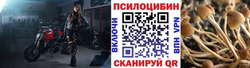 Псилоцибиновые грибы ЛСД Абакан