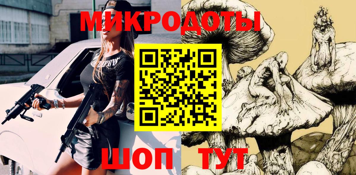 Галлюциногенные грибы Psilocybe Абакан