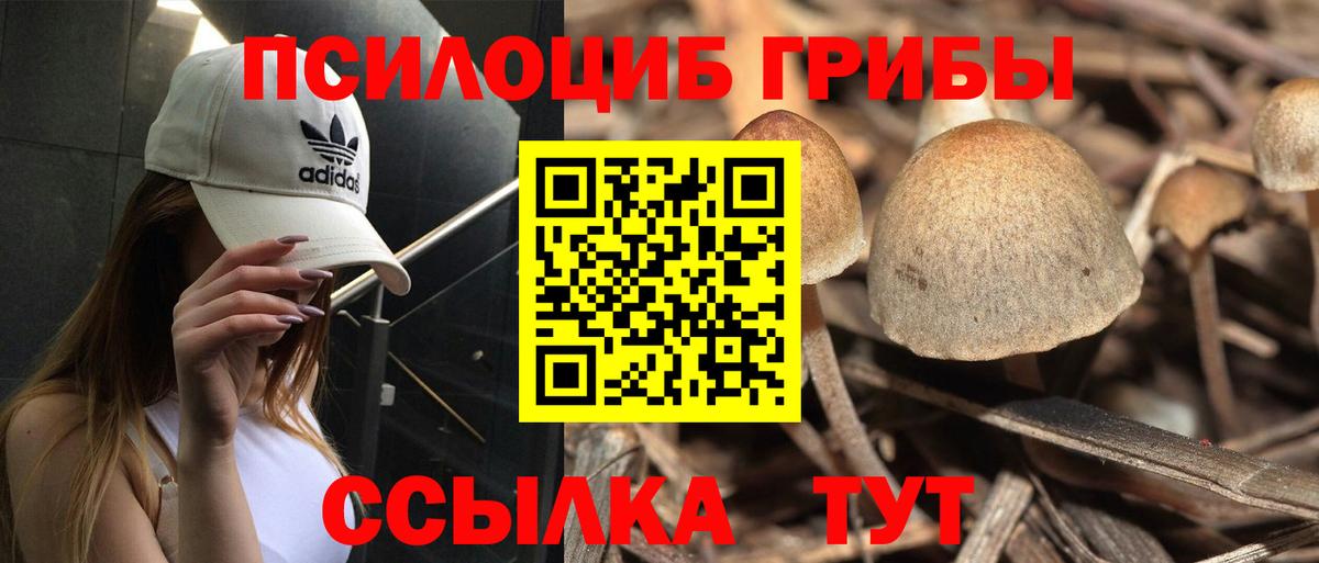 Абакан  Галлюциногенные грибы Cubensis  Псилоцибиновые грибы Psilocybe  Вход с VPN 